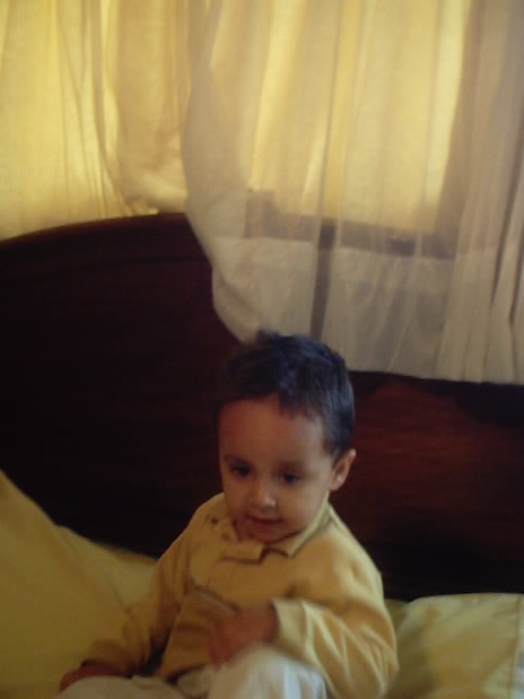 20030501_06.jpg, 20/08/03, 27 kB