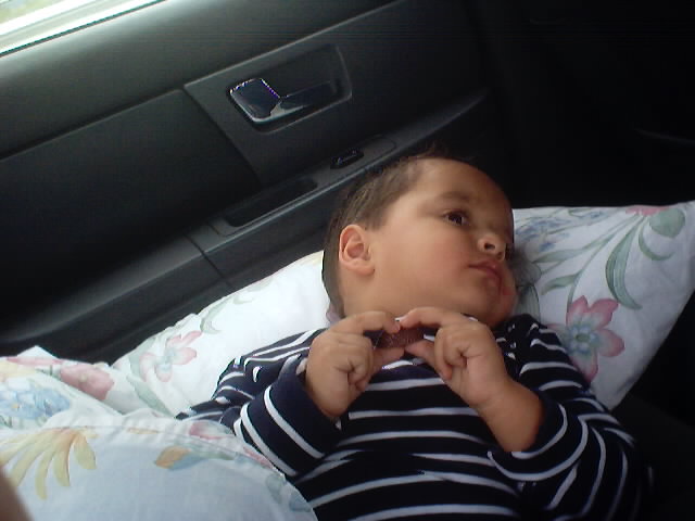 20030822_38.JPG, 22/08/03, 41 kB