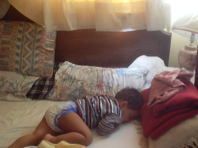 20030824_01.JPG, 24/08/03, 46 kB