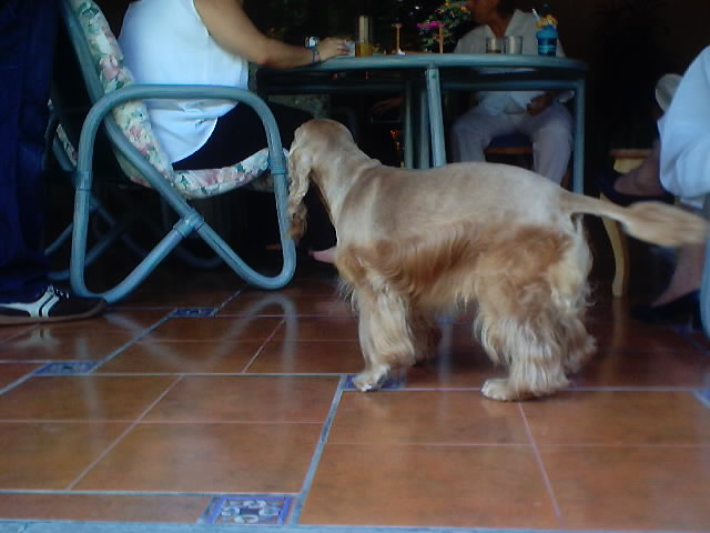 20030902_26.JPG, 02/09/03, 48 kB