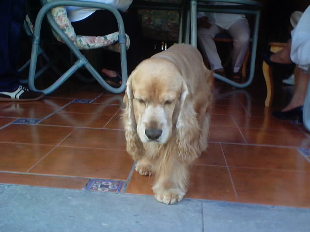 20030902_27.JPG, 02/09/03, 47 kB