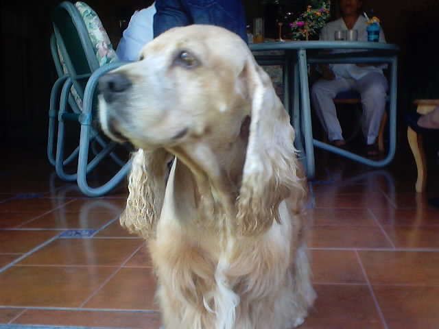 20030902_28.JPG, 02/09/03, 48 kB